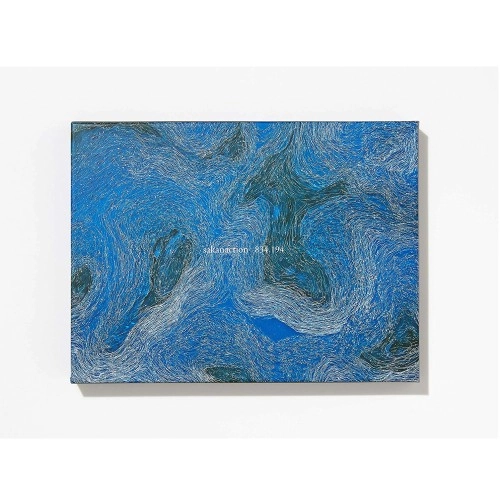 Sakanaction / サカナクション / 834.194（完全生産限定盤A 2CD+Blu-ray）