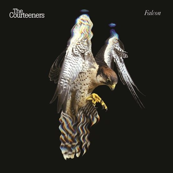 COURTEENERS / コーティナーズ / FALCON? [LP]