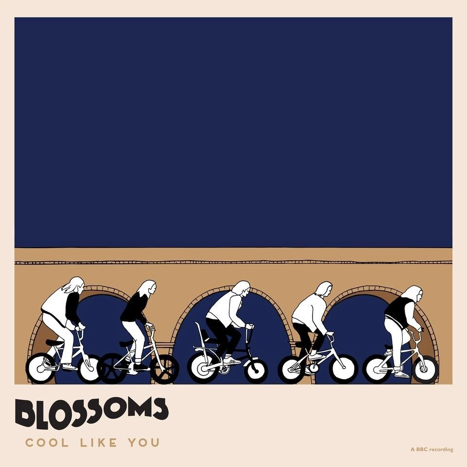 BLOSSOMS (UK ROCK) / ブロッサムズ / COOL LIKE YOU [LP]