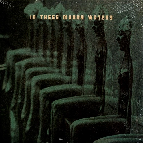 IN THESE MURKY WATERS / IN THESE MURKY WATERS