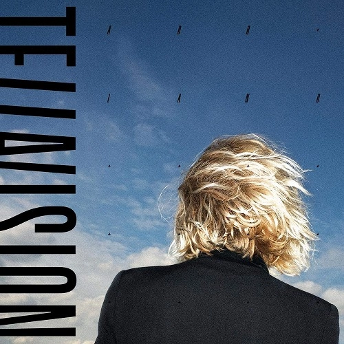 TELL A VISION / ADD LAND (LP)