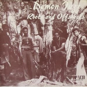DEMON FUZZ / デーモン・ファズ / ROOTS AND OFFSHOOTS