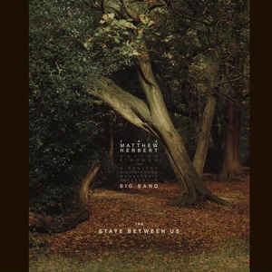 MATTHEW HERBERT BIG BAND / マシュー・ハーバート・ビッグバンド / STATE BETWEEN US