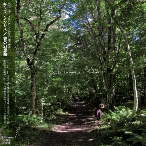 CICHLA TEMENSIS / キクラテメンシス / 碧の幻想曲