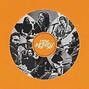 DRUGDEALER / ドラッグディーラー / RAW HONEY (HONEY GOLD VINYL)