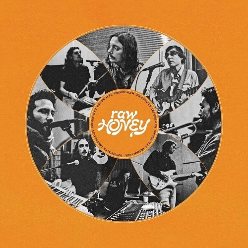 DRUGDEALER / ドラッグディーラー / RAW HONEY (LP)