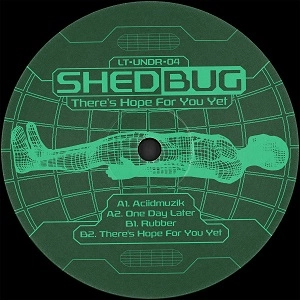 SHEDBUG / THERE'S HOPE FOR YOU YET