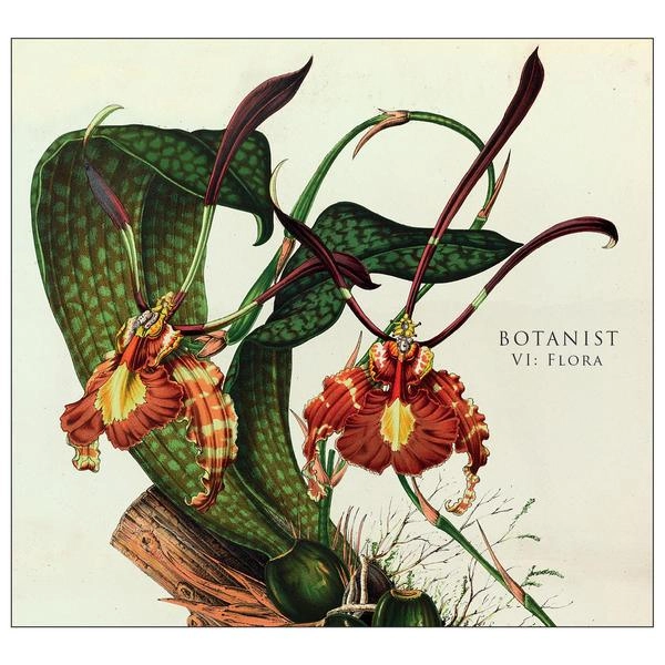 BOTANIST / ボタニスト / VI:FLORA<PAPER SLEEVE>