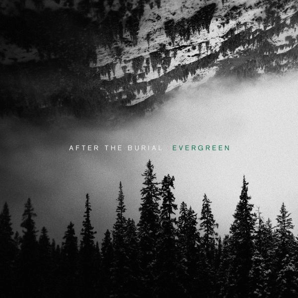 AFTER THE BURIAL / アフター・ザ・ベリアル / EVERGREEN <VINYL>