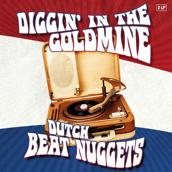 V.A. (GARAGE) / DIGGIN' IN THE GOLDMINE (2LP/BLACK)