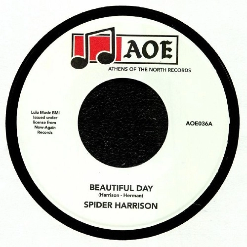 SPIDER HARRISON / BEAUTIFUL DAY