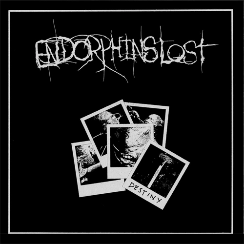 ENDORPHINS LOST / SECLUSIONS (LP/SCENE SUPPORT VERSION) / SECLUSIONS (LP/SCENE SUPPORT VERSION) 