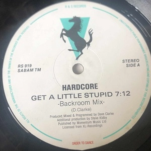 HARDCORE / GET A LITTLE STUPID
