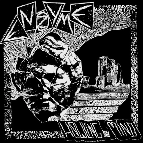 ENZYME / HOWLING MIND (LP)