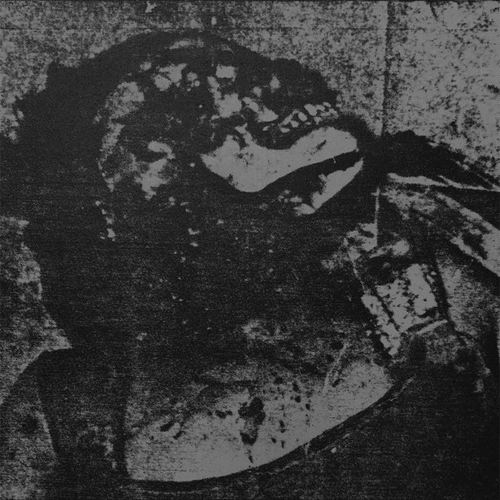 MUTILATED TONGUE / FUEL THE FLAME (LP)