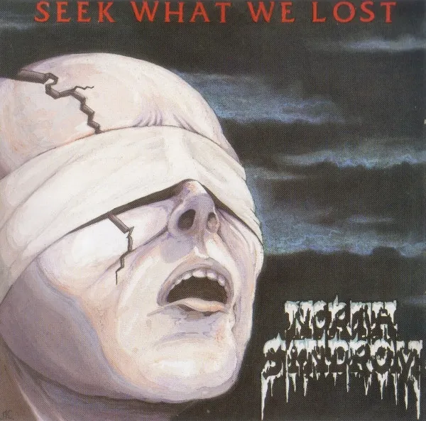 NORTH SYNDROM / SEEK WHAT WE LOST