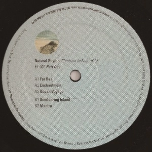 NATURAL RHYTHM / CONTRAST IN NATURE LP - PART ONE