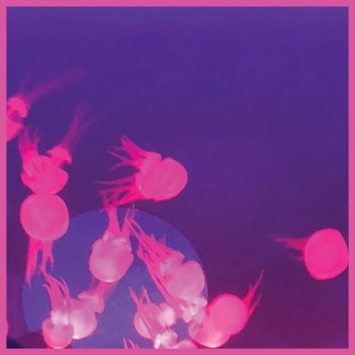 MALL GRAB & NITE FLEIT / MOOGIE EP