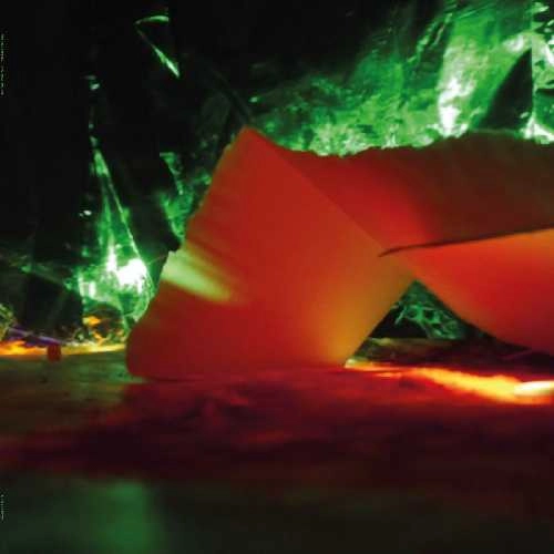 AVINA VISHNU (HEINRICH MUELLER + AINA) / TRANSFORMA