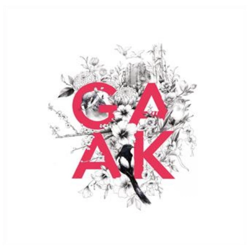 GAAK PROJECT / 歌楽プロジェクト / 跳躍 / SOAR