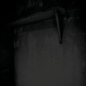 NAVICON TORTURE TECHNOLOGIES / ナヴィコム・トーチャー・テクノロジー / INSANITY (2CD)