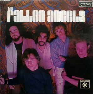FALLEN ANGELS (60'S US GARAGE/PSYCHE) / FALLEN ANGELS