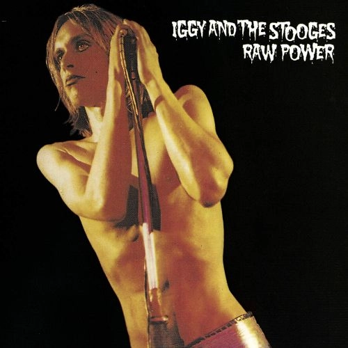 IGGY POP / STOOGES (IGGY & THE STOOGES) / イギー・ポップ / イギー&ザ・ストゥージズ / RAW POWER
