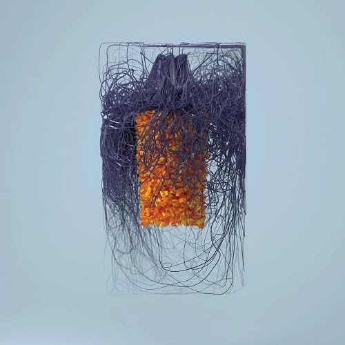 PLAID / プラッド / POLYMER (CD)