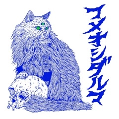 正志郎 / コメオシダルマ
