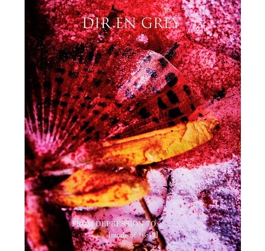 DIR EN GREY / ディル・アン・グレイ / FROM DEPRESSION TO ________ [mode of 16-17]