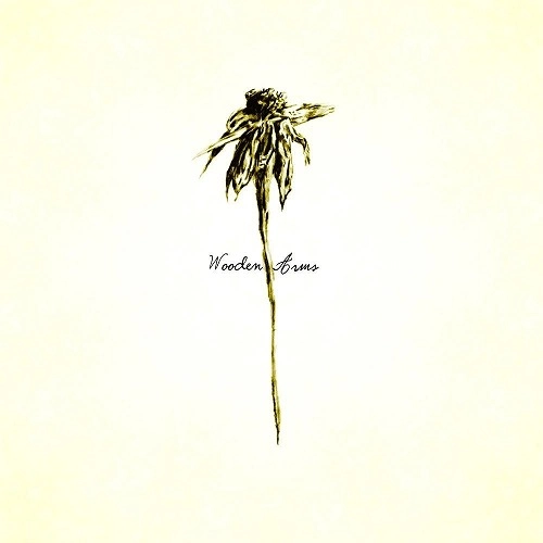 PATRICK WATSON / パトリック・ワトソン / WOODEN ARMS (2LP)