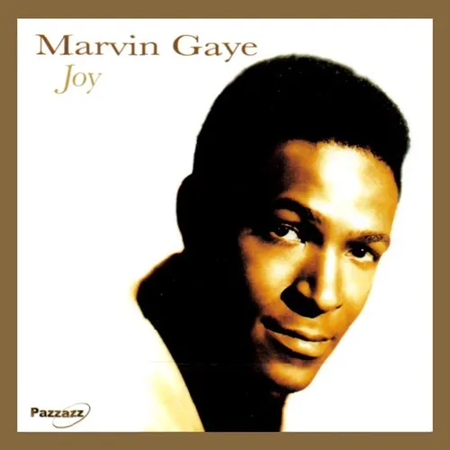 MARVIN GAYE / マーヴィン・ゲイ / JOY