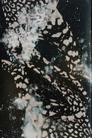 HUERCO S. / フエアコ・エス / UNTITLED
