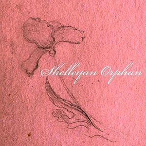 SHELLEYAN ORPHAN 商品一覧 | ディスクユニオン・オンラインショップ