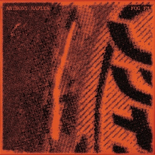ANTHONY NAPLES / アンソニー・ネイプルズ / FOG FM (2LP)