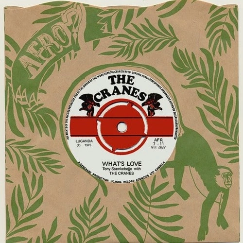 THE CRANES (WORLD) / ザ・クレーンズ / WHAT'S LOVE/JOY