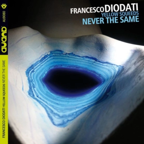 FRANCESCO DIODATI / フランチェスコ・ディオダティ / NEVER THE SAME
