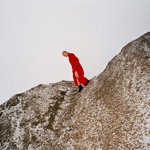 CATE LE BON / ケイト・ル・ボン / REWARD (LP)
