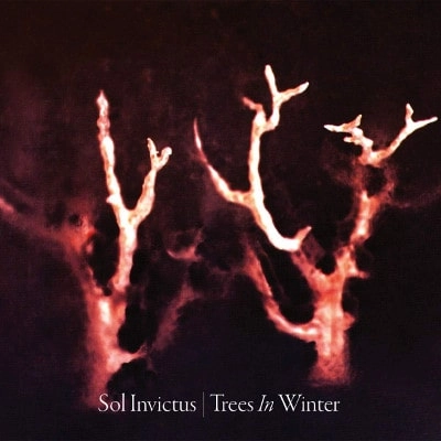 SOL INVICTUS / TREES IN WINTER<DIGI>