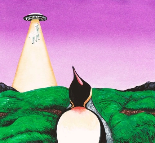 South Penguin / Y