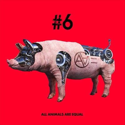 AA= / #6