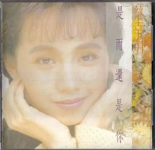 DELPHINE TSAI / 蔡幸娟 / 是雨還是？