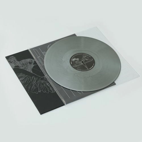 VERTICE (MAURIZIO BIANCHI, SAVERIO EVANGELISTA, JUAN MANUEL CIDRON) / DECAY MUSIC N. 1: BESOCH TRAUMA