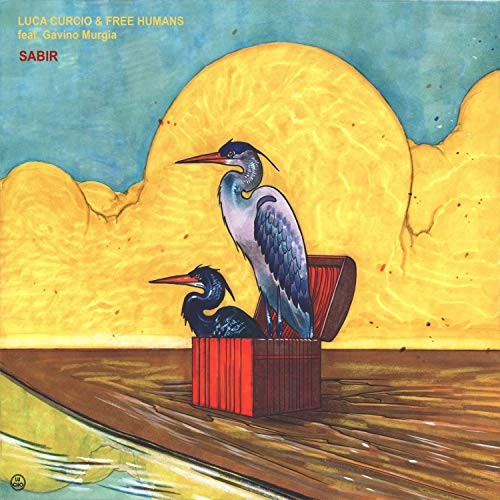 LUCA CURCIO / Sabir