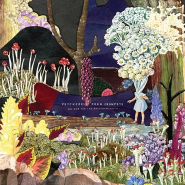PSYCHEDELIC PORN CRUMPETS / サイケデリック・ポーン・クランペッツ / AND NOW FOR THE WHATCHAMACALLIT (LP/3 COLOUR SPLATTER VINYL)