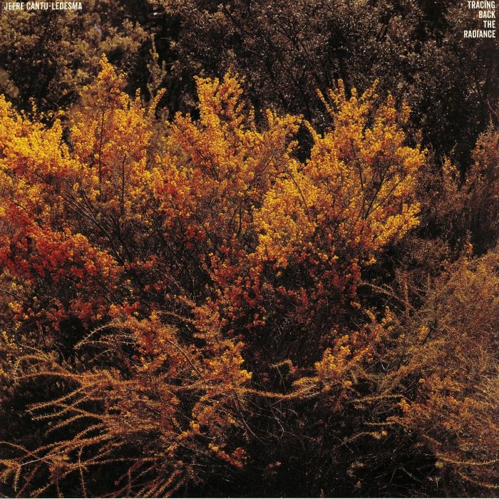 JEFRE CANTU-LEDESMA / TRACING BACK THE RADIANCE