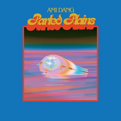 AMI DANG / アミ・ダング / PARTED PLAINS