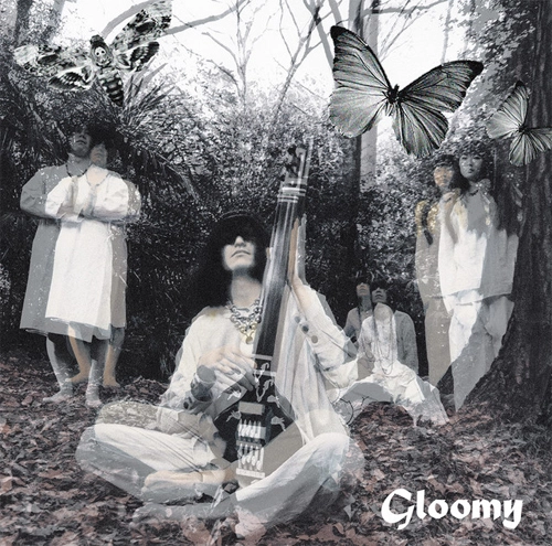 毛皮のマリーズ / Gloomy (LP)
