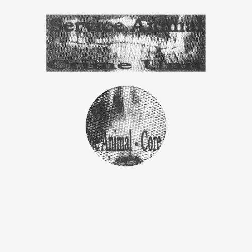 SERVICE ANIMAL (VEREKER) / CRIME UNIT / RAVE026