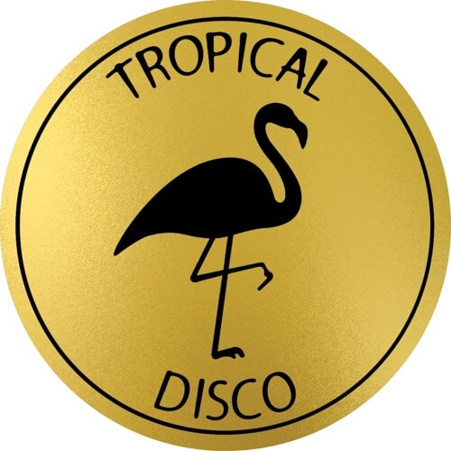 V.A. / オムニバス / TROPICAL DISCO RECORDS VOL.10